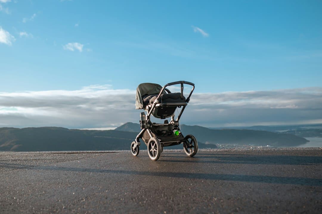 a stroller sitting on the side of a road
